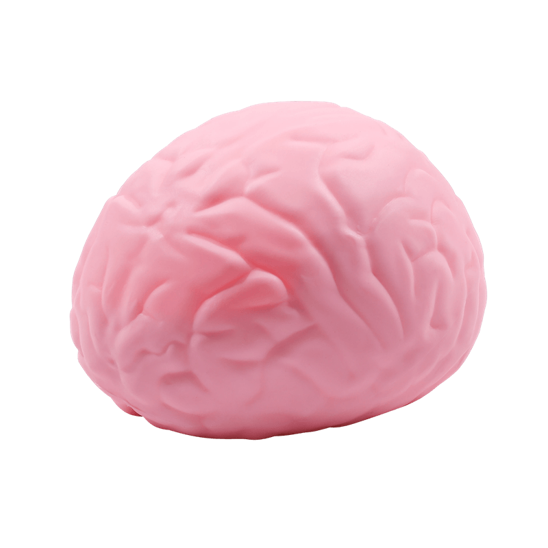 Jumbo Brain Shaped Squishy Toy, Soft Slow Rising Squeeze Stress Reliever, Fake Organ Prank Prop