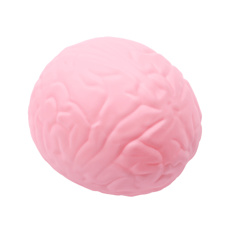 Jumbo Brain Shaped Squishy Toy, Soft Slow Rising Squeeze Stress Reliever, Fake Organ Prank Prop