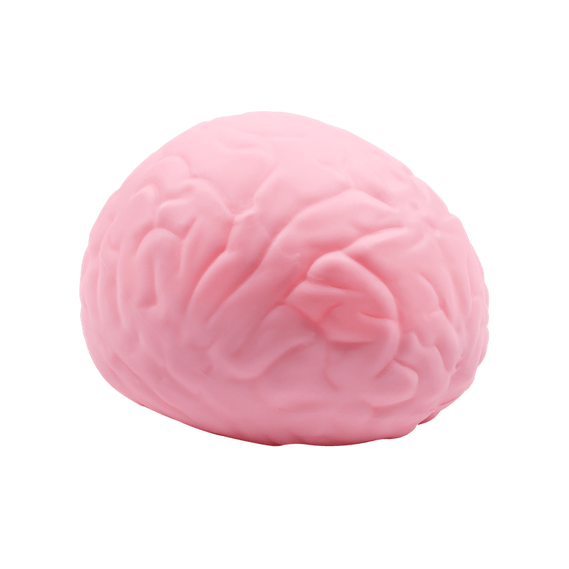 Jumbo Brain Shaped Squishy Toy, Soft Slow Rising Squeeze Stress Reliever, Fake Organ Prank Prop